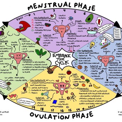 Menstrual Poster (Adult version)