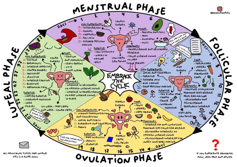 Menstrual Poster (Adult version)