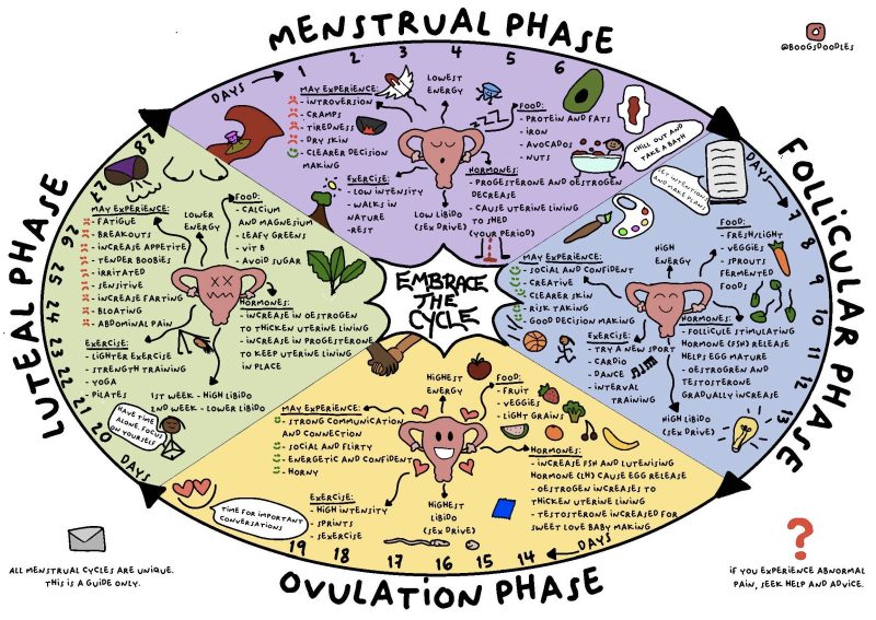 Menstrual Poster (kid version)