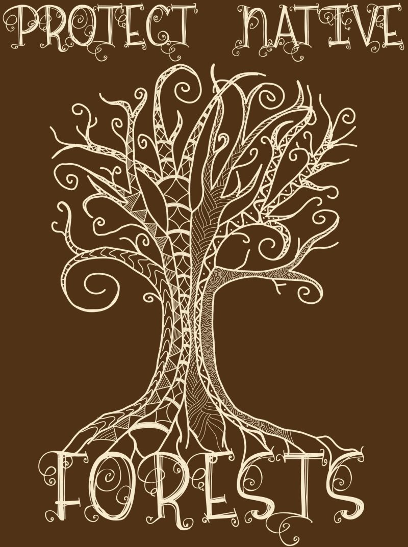 Protect Native Forests Sticker